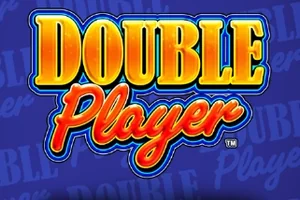 Double Player game artwork