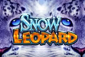 Snow Leopard game artwork