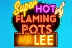 Super Hot Flaming Pots Mr Lee game artwork